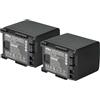vhbw 2x batteria compatibile con Canon Legria FS46, FS406, HF100, HF10 videocamera camcorder (1600mAh, 7,2V, Li-Ion) con infochip