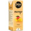 Gelato 4ever - Preparato per Gelato Pronto da Mantecare, Preparazione Facile e Veloce con Macchine per Gelati Domestiche o Professionali, Compatibile con Gelatiera Ninja Creami, 1 L, Made in Italy