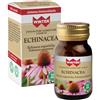 GDP Srl-GENERAL DIETET.PHARMA WINTER ECHINACEA 30CPS VEG