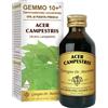 giorgini Gemmo 10+ acero campestre 100 ml liquido analcolico