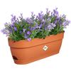 Elho Vibia Campana Trough 50 - Fioriera per Balcone - Ø 49.0 x H 17.0 cm - Terra