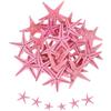 QUARKZMAN 30Pcs Stelle Marine per Artigianato, 0.4-0.8 Piccole Stelle Marine Naturali Conchiglie all'Ingrosso PerParty A Tema Spiaggia Matrimonio Casa Vaso DIY Artigianato, Rosa