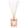 Teatro Fragranze Uniche Papaia Ibisco 250 ml diffusore con Bastoncini