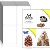 WDZGX Carta Adesiva A4 per Stampante Etichette Adesive Stampabili Autoadesive 4 Etichette per Foglio A4 50 Fogli 105 x 148.5 mm 200 Etichette per Stampanti a Getto d'inchiostro e Laser