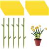 TARSHYRY Trappole Adesive Gialle per Piante Volanti 30 Strisce e 5 Tappi di Terra Non Adesive per Piante da Interno Ed Esterno Giardino in Vaso