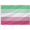 PTEROSAUR Bandiera dell'orgoglio abrosessuale, bandiere arcobaleno LGBTQIA per feste LGBT per esterni e interni, striscione decorativo da 9 x 1,5 m (abrosessuale, 0,6 x 0,9 m)