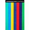 pet shop boys introspective MC
