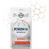 Forza 10 dog active renal 4kg