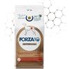 Forza 10 dog active gastroenteric low fat 10kg
