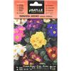 Semillas Batlle Primavera Giardini - Primula