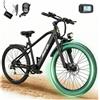 AAIRSK - GT300 Bicicletta Elettrica 26 Pollici E-Bike City Bike Motore 250W Batteria 36V 10Ah Autonomia 50 km Nero - SPEDIZIONE GRATUITA