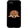Chow Chow Puppy Lover PS Custodia per iPhone SE (2020) / 7/8 Ritratto del cane del viso del primo piano del cucciolo di Chow Chow del bambino