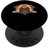 Belgian Malinois Puppy Lover PS Ritratto del cane del viso del primo piano del cucciolo di Malinois belga del bambino PopSockets PopGrip Adesivo