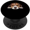 Beagle Puppy Lover PS Ritratto del cane del viso del primo piano del cucciolo di Beagle del bambino PopSockets PopGrip Adesivo