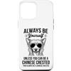 Cool Chinese Crested Funny Chinese Crest Custodia per iPhone 12 Pro Max Essere un cane crestato cinese divertente cinese crestato