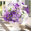 LEIMEND 9 Mazzi di Fiori Finti da Esterno Viola bianco Petunie Fiori Artificiali Protezione UV Petunie Artificiali Per Interni ed Esterni Aiuole di Casa Decorazione Dell'ingresso Del Giardino