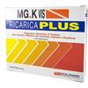 Mg.K Vis Ricarica Plus Idrosalino Energetico 14 Bustine