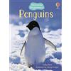 Usborne Publishing Ltd Penguins (Usborne Beginners)
