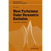 Springer Wave Turbulence Under Parametric Excitation: Applications to Magnets
