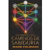 Wade Coleman Los-Treinta y Dos Caminos de Sabiduría: Cábala y el Árbol de la Vida: 2