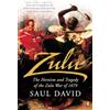 Penguin Zulu: The Heroism and Tragedy of the Zulu War of 1879 [Lingua Inglese]