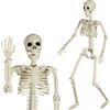 AOFOX OFOX Halloween a grandezza Naturale Scheletro Intero Corpo Umano Ossa con articolazioni mobili per Il cimitero Spaventoso della casa infestata del cimitero (90cm-White)