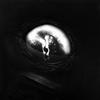 VIDB1 An Antidote For The Glass Pill [VINYL]