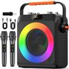 OEM Altoparlanti per karaoke, microfoni wireless, design portatile, diverse modalità audio, T19-T
