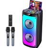 OEM Altoparlante Bluetooth wireless, alimentazione tramite USB e batteria, 20 canali, modalità audio surround 3D, dimensioni compatte, supporto per due microfoni