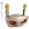 Gistuch Altoparlante Bluetooth per casa, KTV, karaoke con due microfoni (oro)