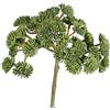 artplants.de Sedum Finto Danica, Verde, 20cm, Ø10cm - Sedum Artificiale - Succulenta Finta