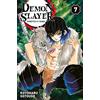 Panini Demon Slayer - Kimetsu no Yaiba N°7