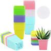 ELCOHO Confezione da 36 vasi quadrati da 6,9 cm, in plastica, multicolore, per piantine di piante da vivaio, con sottovaso, per decorare la stanza, il giardino, l'ufficio e il balcone
