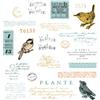 Sizzix Framelits - Timbri trasparenti formato A5, motivo: canto degli uccelli di 49 and Market