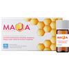 DIGI-PHARM Sas di Carlevaris G MAJA SCIROPPO 10 FLACONCINI 10 ML