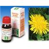 SPECCHIASOL Srl TARASSACO 28 50ML TM