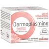 BOIRON Srl DERMOPLASMINE MOUSSE 20 G