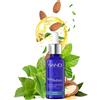 Bandi Lozione Antiforfora Intensive Con Olio Mandorla Olio Argan Tea Tree Allantoina D-panthenolo e Vitamina e Per Cuoio Capelluto Grasso Capelli Secchi Fragili Prurito Crescita e Lucentezza