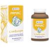 Hering Prolac Cordyceps Integratore Sistema Immunitario 90 Compresse