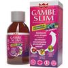Winter Gambe Slim Formula Trifasica 300ml