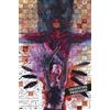 Panini France Daredevil / Echo : Quête de vision