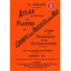 Editions Bibliomane Atlas de poche des plantes des champs, des prairies et des bois à l'usage des promeneurs et des excursionnistes: Volume 3