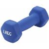 KiBcsLic Manubrio Esagonale Donna Attrezzo Palestra Ghisa Rivestimento Plastica Antiscivolo Peso Fisso per Esercizi Potenziamento Braccia Adatto per Allenamenti Casa Palestra, Blu Opaco, 1kg