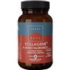 Forlive Srl Terranova Vollagene & Acido Ialuronico Integratore Per Pelle E Benessere Articolare 50 Capsule