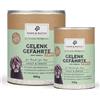 PAWS&PATCH complesso articolare FORTE per cani adulti e anziani 120 g