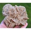 Gesso Var. Rosa Del Deserto 587 Grammi - Chott El Djerid, Tunisia