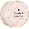 Annabelle Minerals Mineral Concealer 4 g