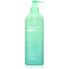 Seboradin PRO SEBOCLEAR Balance Fresh 400 ml