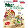 Stefan Eichner René Asterix Mundart Oberfränkisch III: Aster (Copertina rigida)