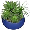 Arborus Piante grasse artificiali da 17 cm, in vaso di ceramica blu, piante grasse artificiali, piccole piante artificiali in vaso, per ufficio, casa, bagno, mensola decorativa